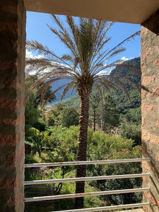 Hotel Colombo- Porto Corse מראה חיצוני תמונה
