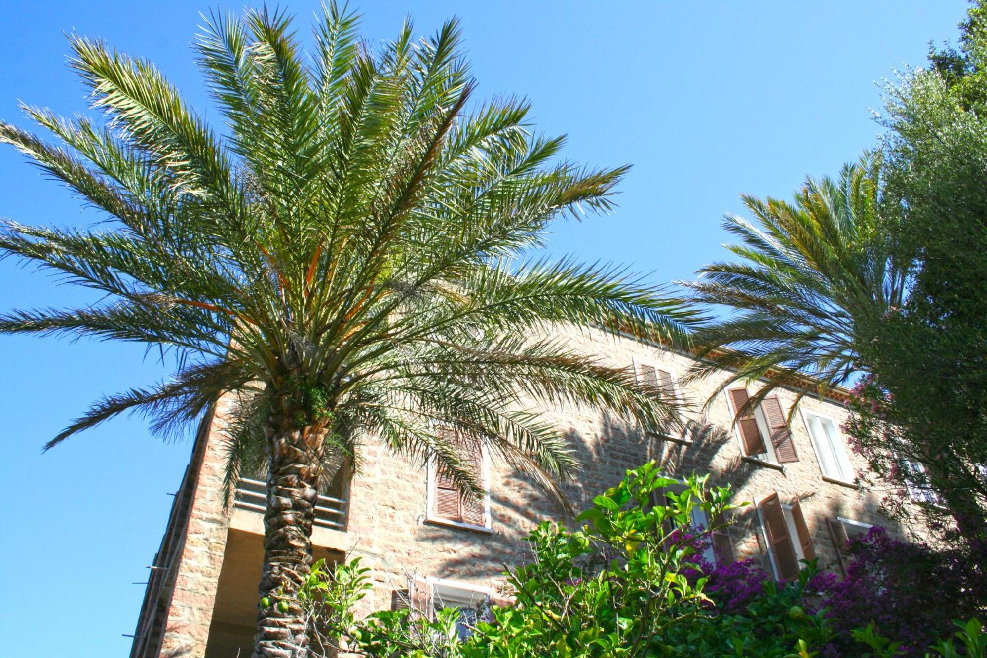 Hotel Colombo- Porto Corse מראה חיצוני תמונה